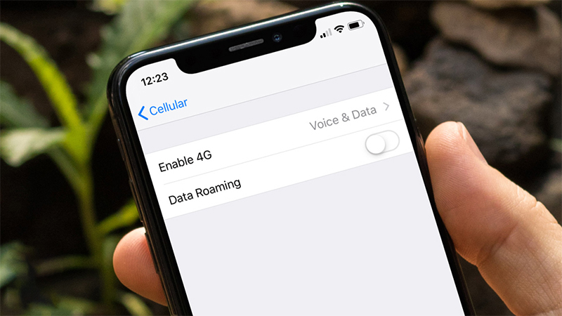 Giao diện bật 4G trên iPhone